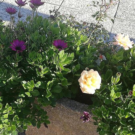 Sogliano al Rubicone B&B Ripalta מראה חיצוני תמונה