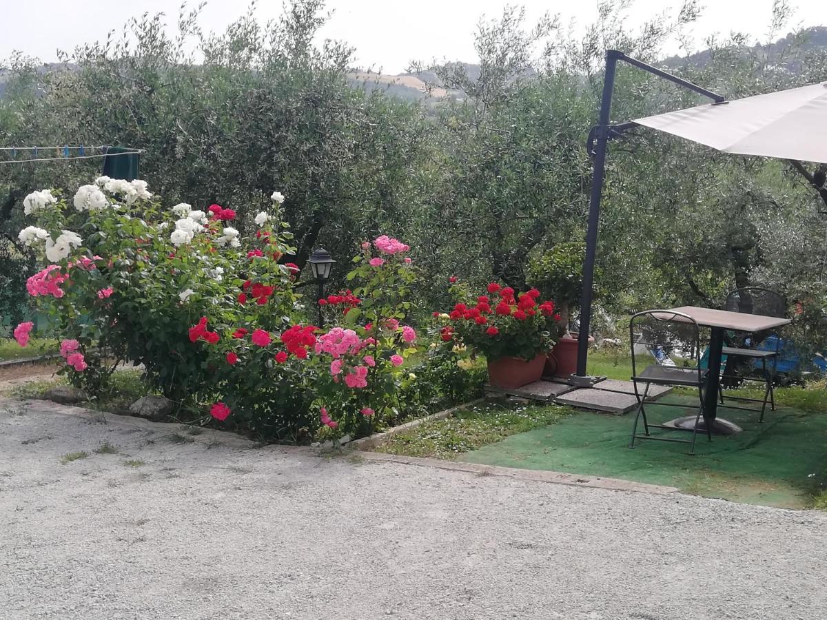 Sogliano al Rubicone B&B Ripalta מראה חיצוני תמונה