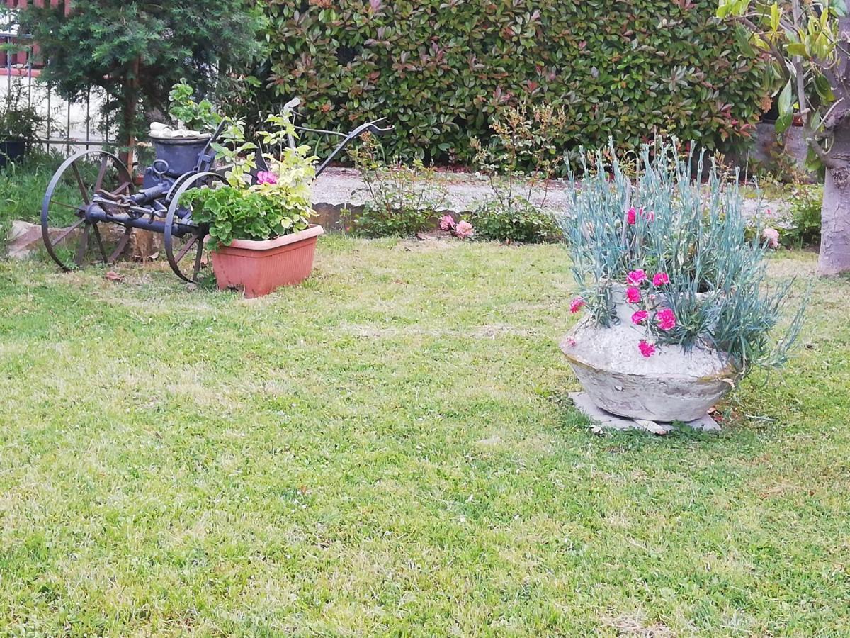 Sogliano al Rubicone B&B Ripalta מראה חיצוני תמונה