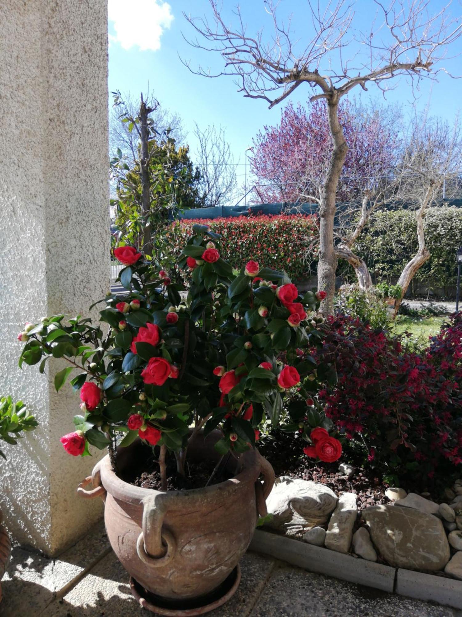 Sogliano al Rubicone B&B Ripalta מראה חיצוני תמונה