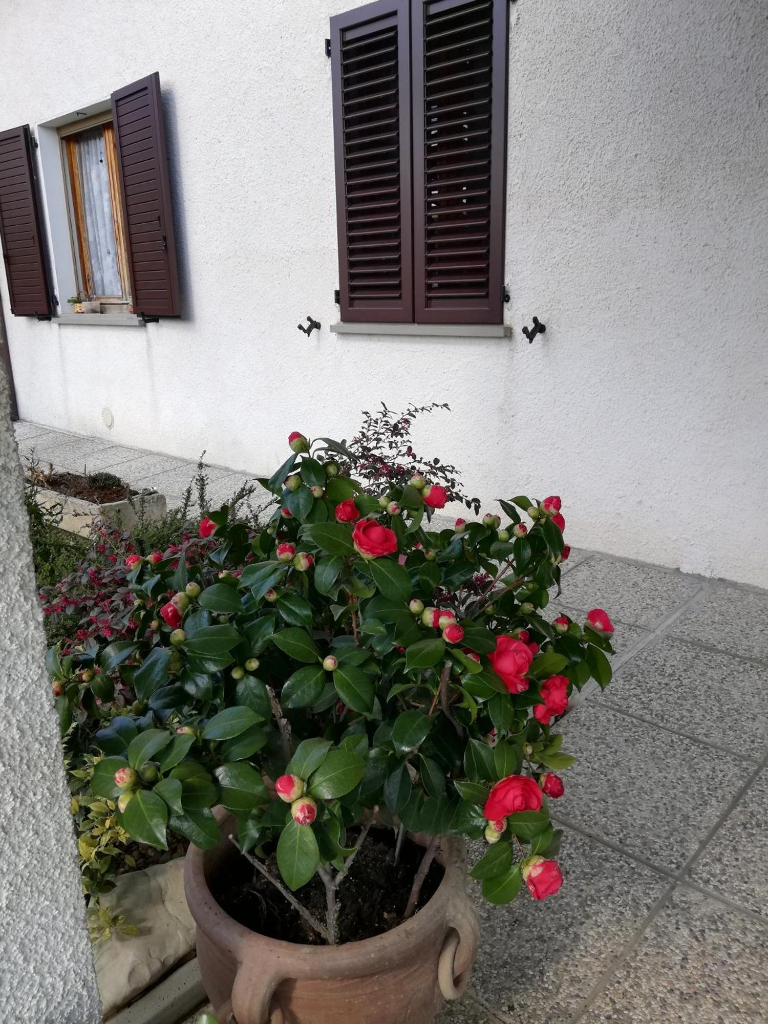Sogliano al Rubicone B&B Ripalta מראה חיצוני תמונה