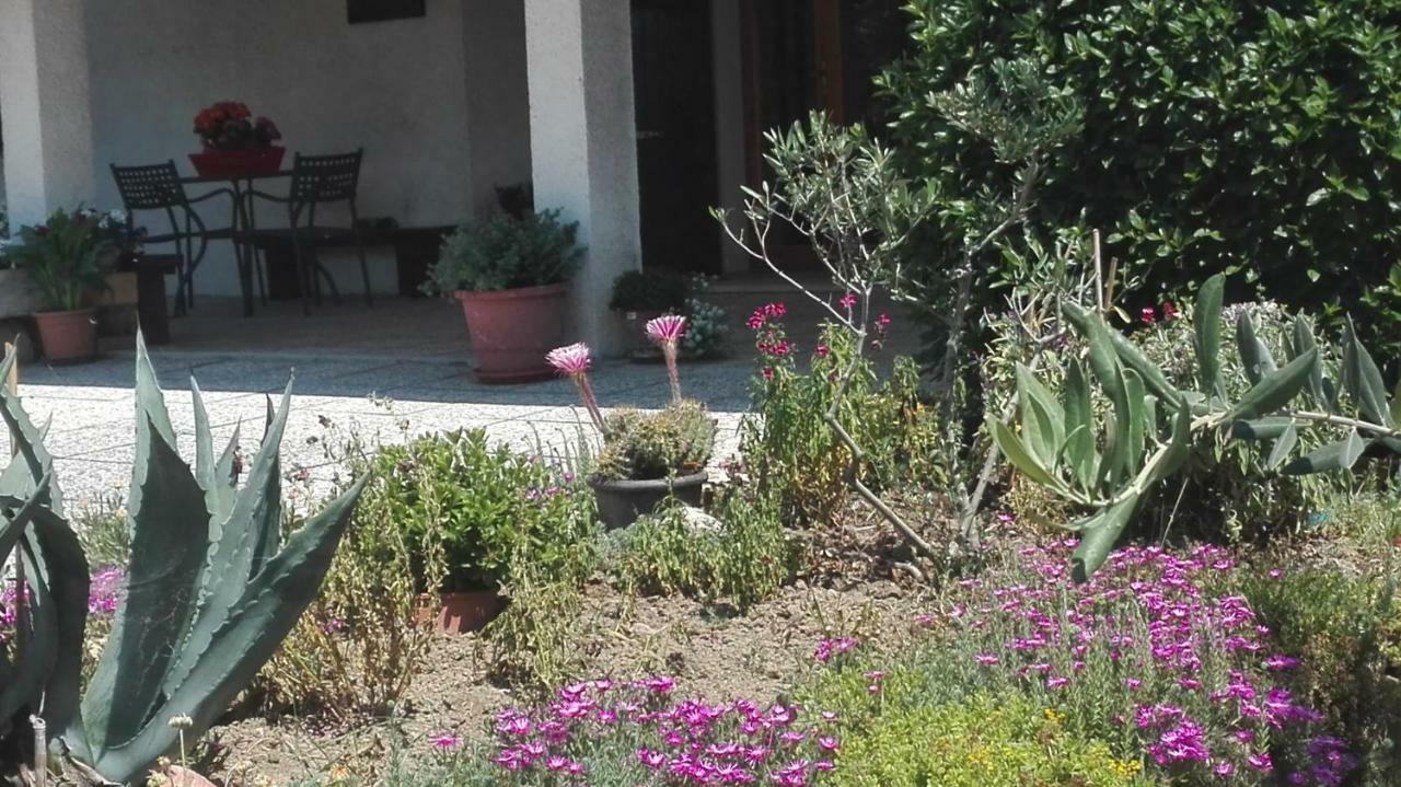 Sogliano al Rubicone B&B Ripalta מראה חיצוני תמונה