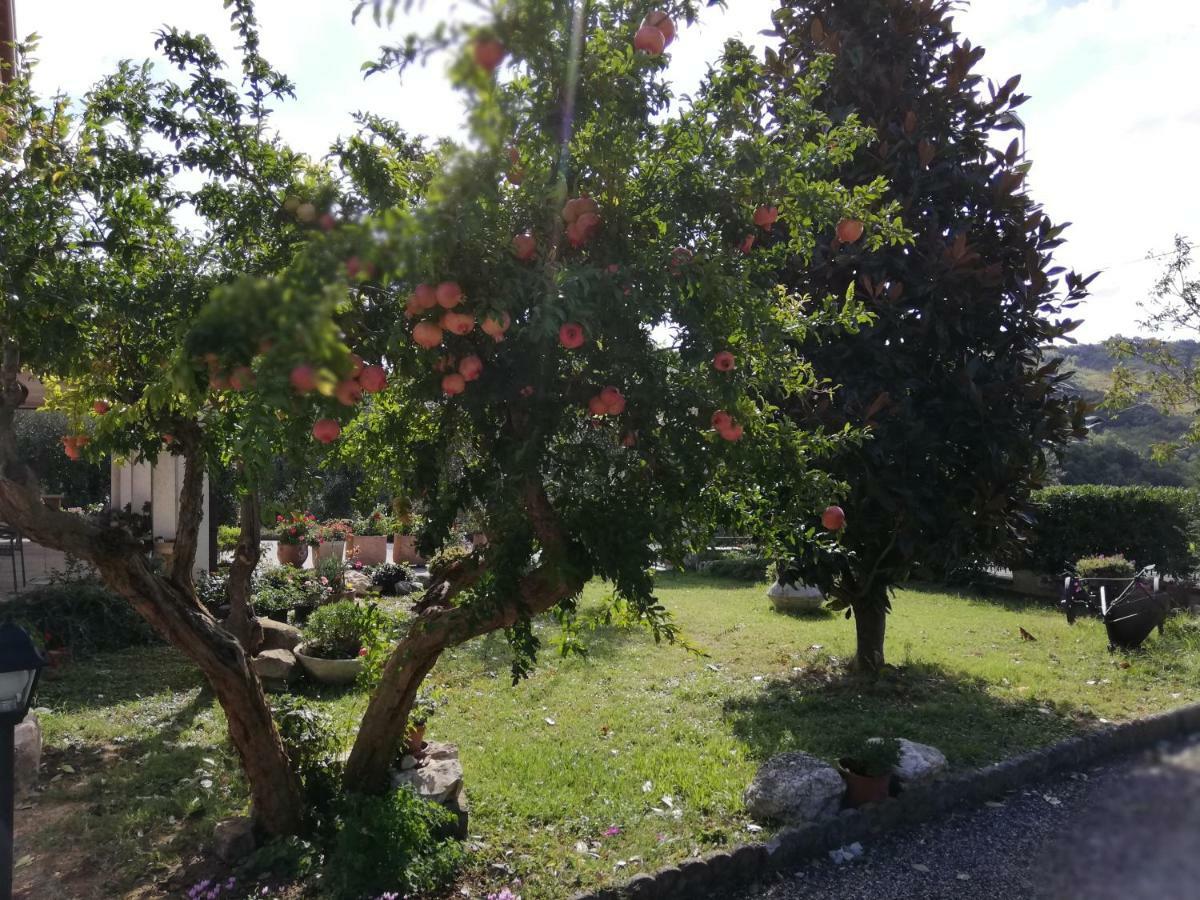 Sogliano al Rubicone B&B Ripalta מראה חיצוני תמונה