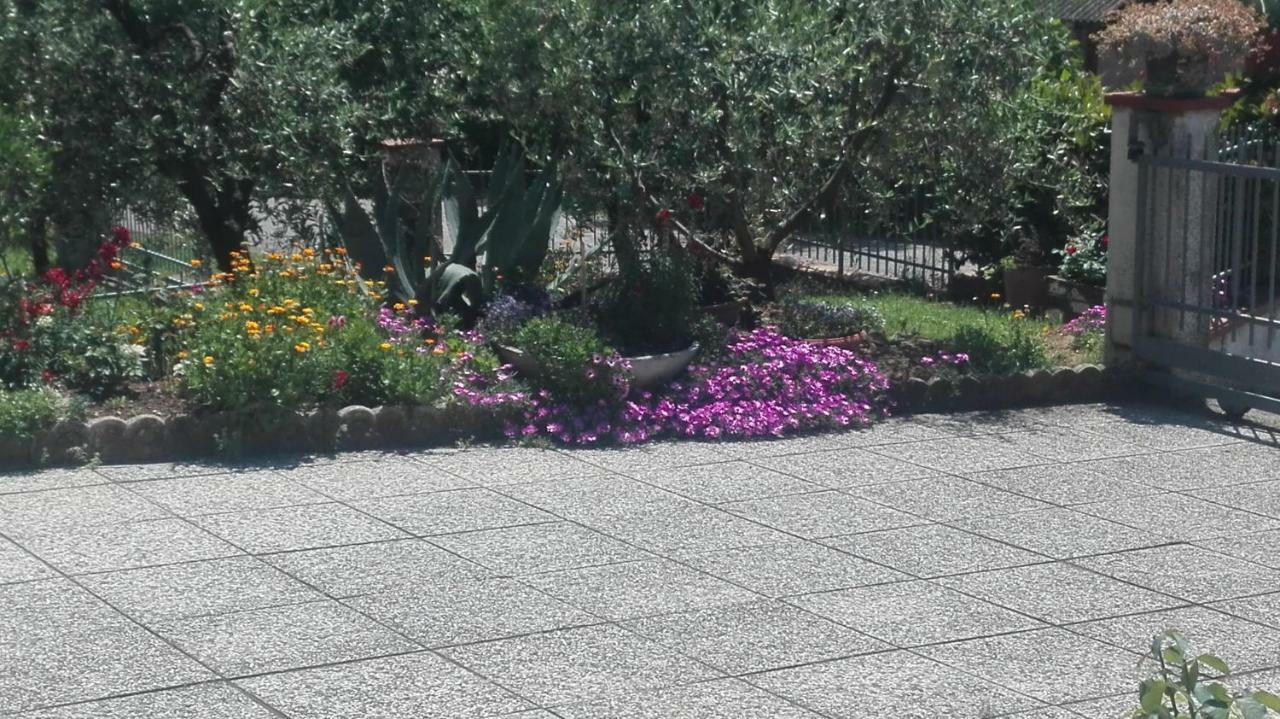 Sogliano al Rubicone B&B Ripalta מראה חיצוני תמונה