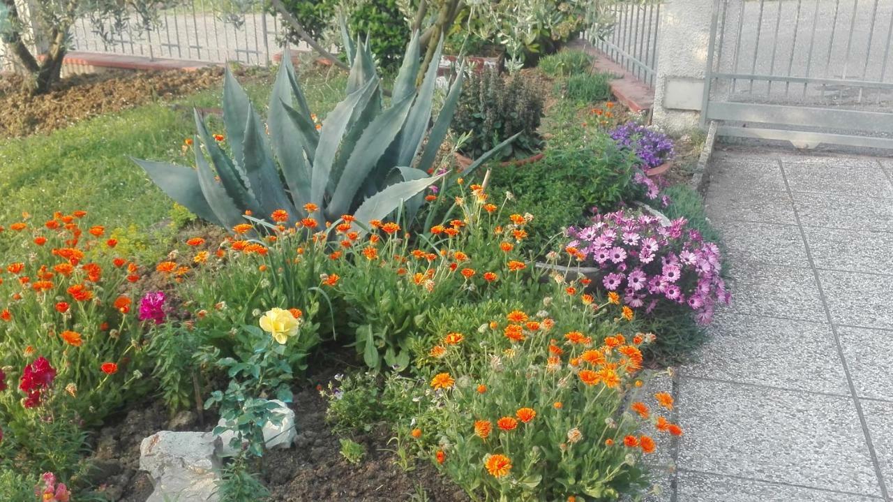 Sogliano al Rubicone B&B Ripalta מראה חיצוני תמונה